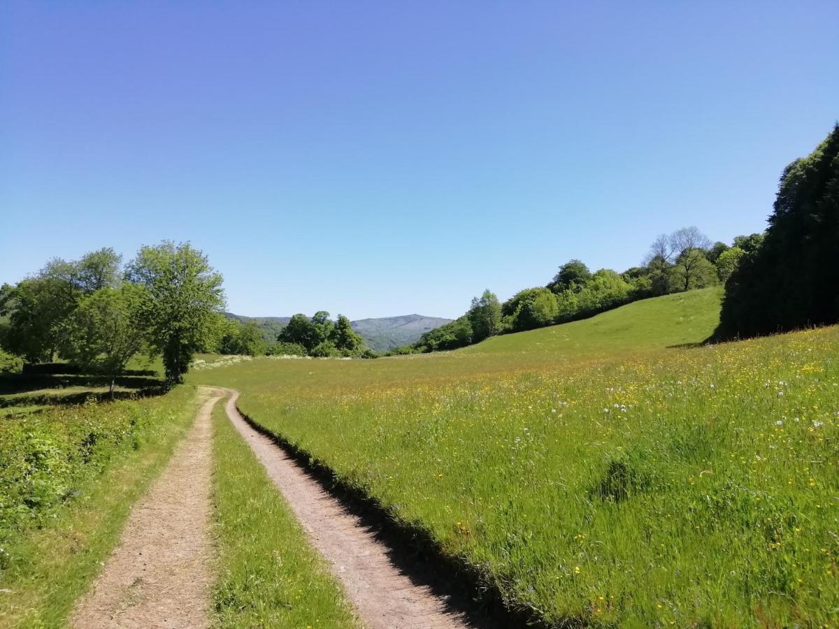 Maison A La Campagne Au Coeur Du Cantal Dept 15 Marmanhac Zewnętrze zdjęcie